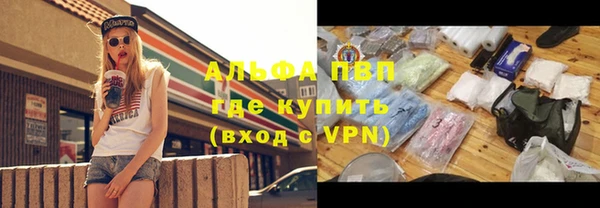 гидропоника Иннополис