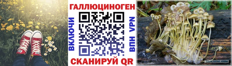 наркотики  Сольвычегодск  Псилоцибиновые грибы GOLDEN TEACHER 